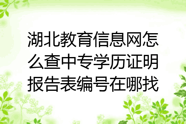 湖北教育信息网怎么查中专学历证明报告表编号在哪找