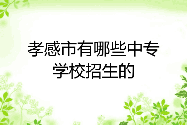 孝感市有哪些中专学校招生的