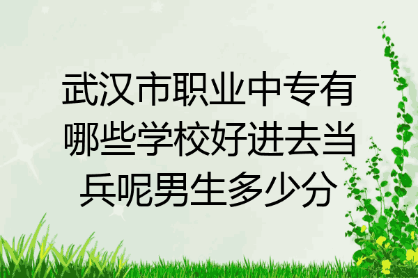 武汉市职业中专有哪些学校好进去当兵呢男生多少分