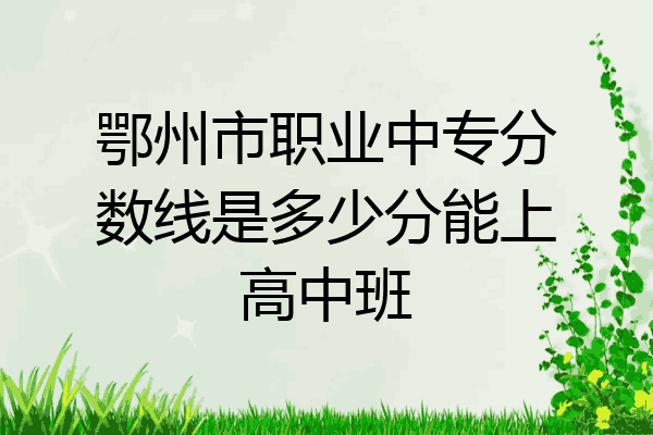 鄂州市职业中专分数线是多少分能上高中班