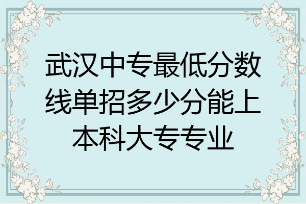 武汉中专最低分数线单招多少分能上本科大专专业