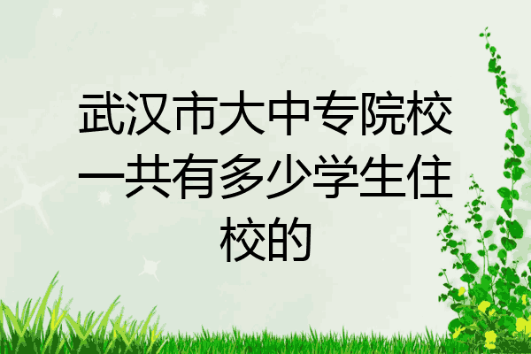 武汉市大中专院校一共有多少学生住校的