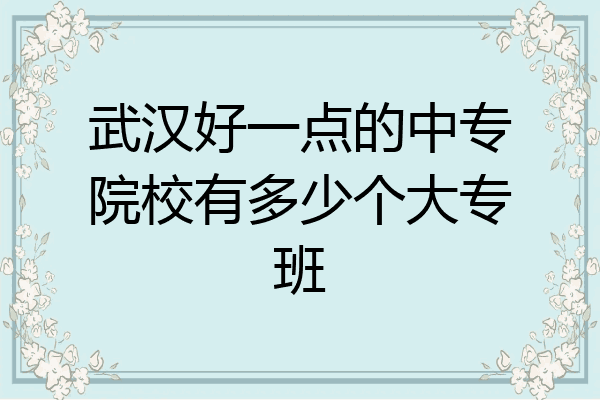 武汉好一点的中专院校有多少个大专班