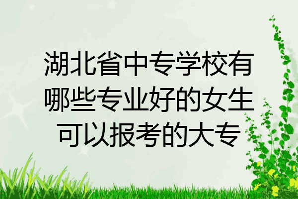 湖北省中专学校有哪些专业好的女生可以报考的大专