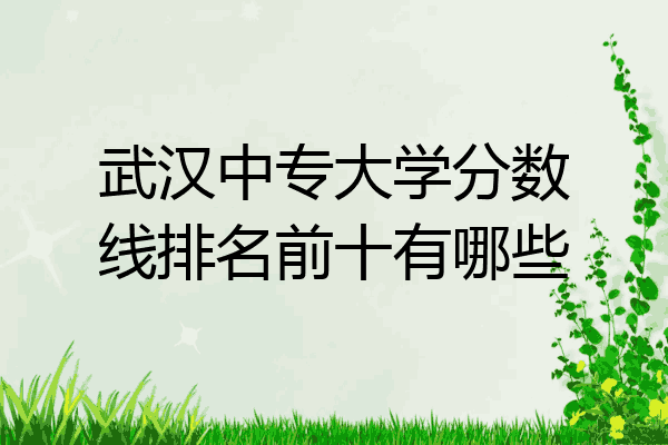 武汉中专大学分数线排名前十有哪些
