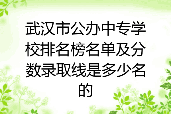 武汉市公办中专学校排名榜名单及分数录取线是多少名的