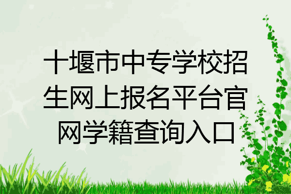 十堰市中专学校招生网上报名平台官网学籍查询入口