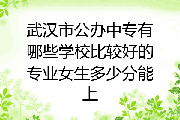 武汉市公办中专有哪些学校比较好的专业女生多少分能上