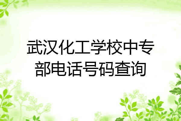 武汉化工学校中专部电话号码查询