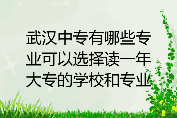 武汉中专有哪些专业可以选择读一年大专的学校和专业