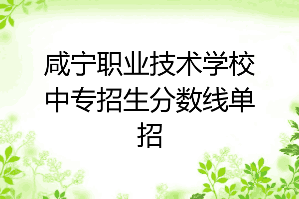 咸宁职业技术学校中专招生分数线单招