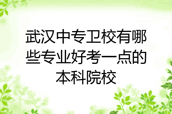 武汉中专卫校有哪些专业好考一点的本科院校