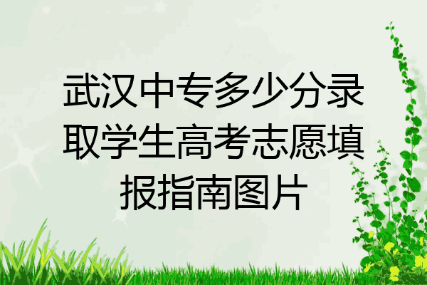 武汉中专多少分录取学生高考志愿填报指南图片