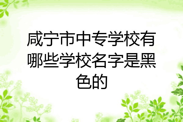 咸宁市中专学校有哪些学校名字是黑色的