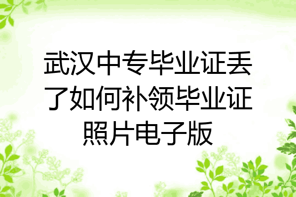 武汉中专毕业证丢了如何补领毕业证照片电子版