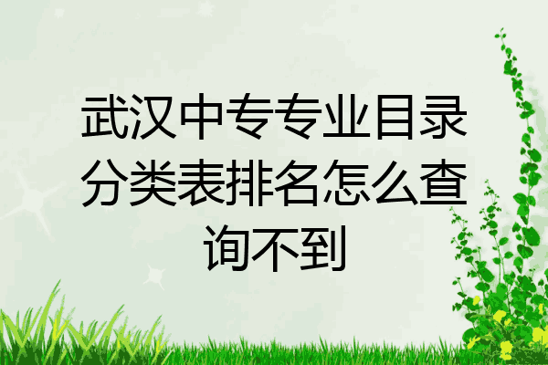 武汉中专专业目录分类表排名怎么查询不到