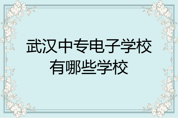 武汉中专电子学校有哪些学校