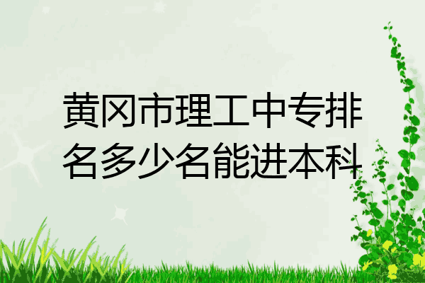 黄冈市理工中专排名多少名能进本科