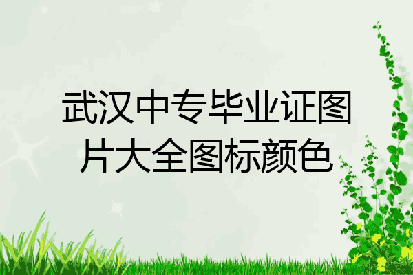武汉中专毕业证图片大全图标颜色