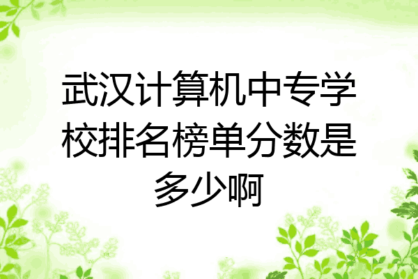 武汉计算机中专学校排名榜单分数是多少啊