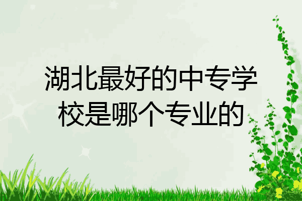 湖北最好的中专学校是哪个专业的