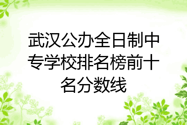 武汉公办全日制中专学校排名榜前十名分数线
