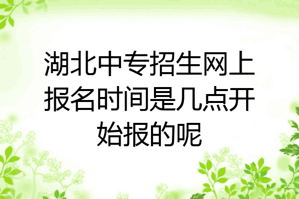 湖北中专招生网上报名时间是几点开始报的呢