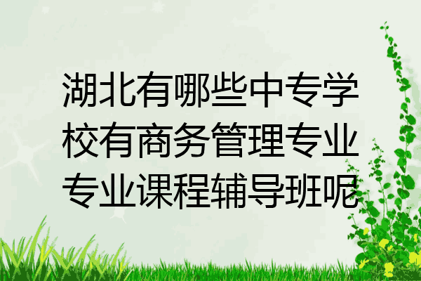 湖北有哪些中专学校有商务管理专业专业课程辅导班呢