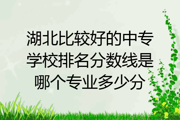 湖北比较好的中专学校排名分数线是哪个专业多少分