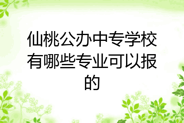 仙桃公办中专学校有哪些专业可以报的