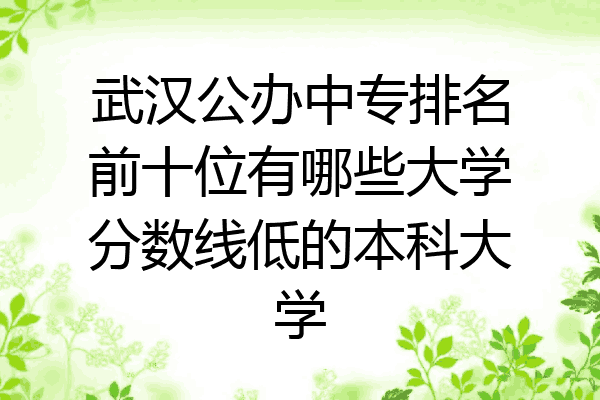 武汉公办中专排名前十位有哪些大学分数线低的本科大学
