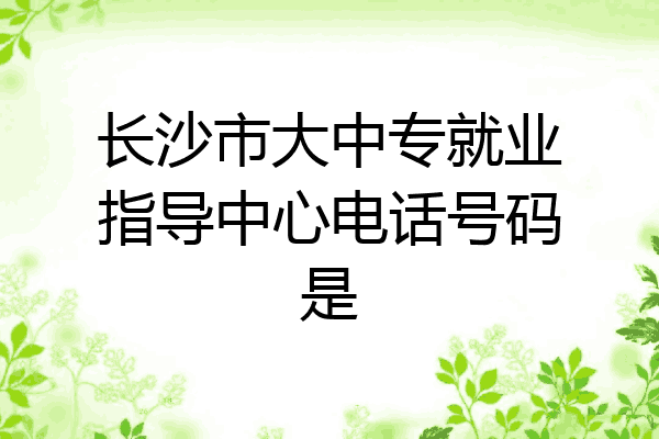 长沙市大中专就业指导中心电话号码是