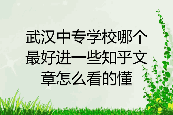 武汉中专学校哪个最好进一些知乎文章怎么看的懂