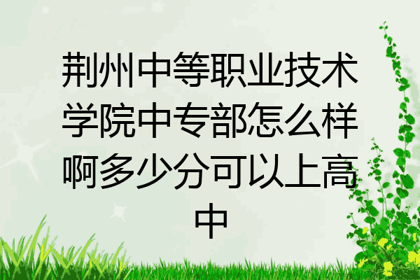 荆州中等职业技术学院中专部怎么样啊多少分可以上高中