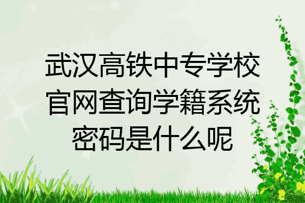 武汉高铁中专学校官网查询学籍系统密码是什么呢