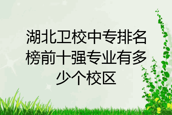 湖北卫校中专排名榜前十强专业有多少个校区