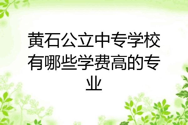 黄石公立中专学校有哪些学费高的专业