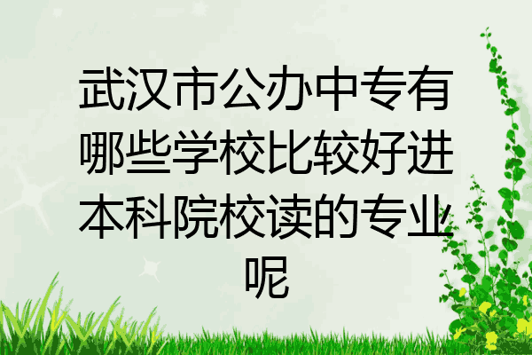 武汉市公办中专有哪些学校比较好进本科院校读的专业呢