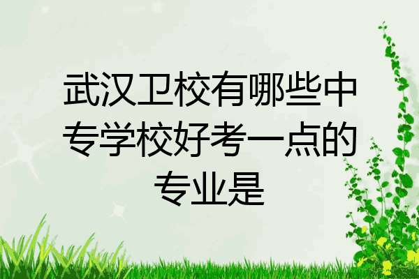 武汉卫校有哪些中专学校好考一点的专业是