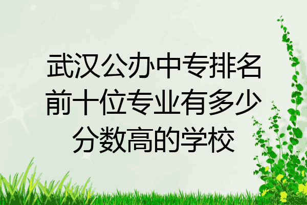 武汉公办中专排名前十位专业有多少分数高的学校