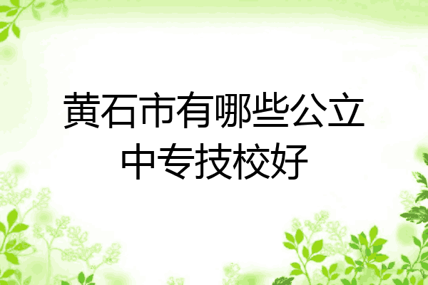 黄石市有哪些公立中专技校好