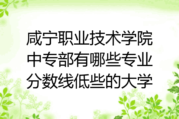 咸宁职业技术学院中专部有哪些专业分数线低些的大学