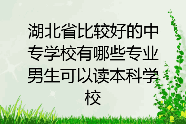 湖北省比较好的中专学校有哪些专业男生可以读本科学校