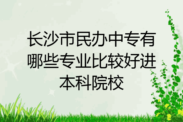长沙市民办中专有哪些专业比较好进本科院校