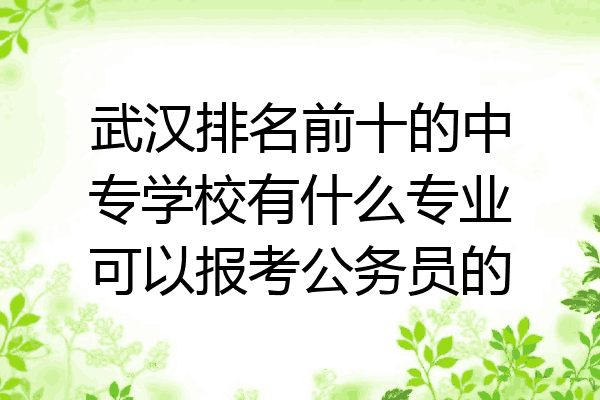 武汉排名前十的中专学校有什么专业可以报考公务员的