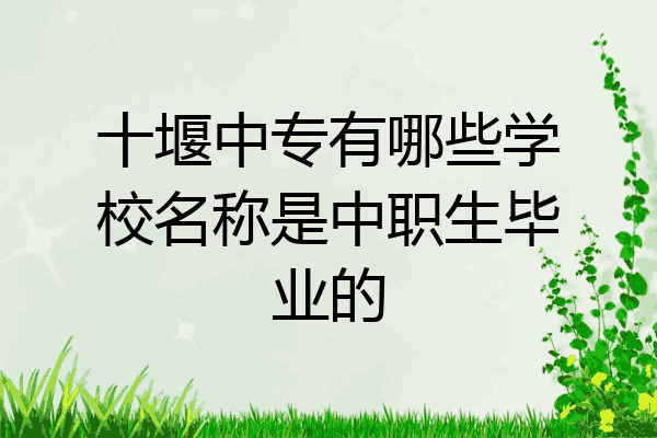 十堰中专有哪些学校名称是中职生毕业的