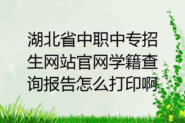 湖北省中职中专招生网站官网学籍查询报告怎么打印啊