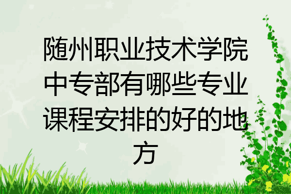 随州职业技术学院中专部有哪些专业课程安排的好的地方