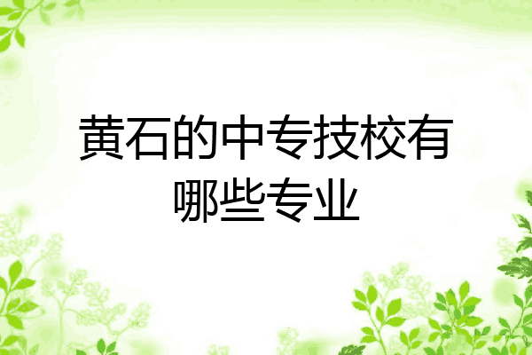 黄石的中专技校有哪些专业