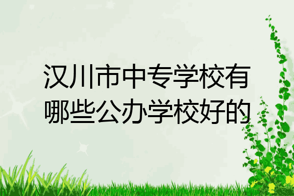 汉川市中专学校有哪些公办学校好的